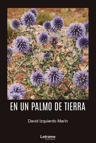 En un palmo de tierra, de David Izquierda Marín. Editorial Letrame, tapa blanda en español, 2020