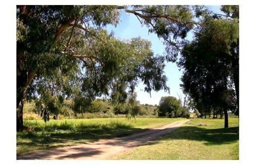 Imagen 6 de 17 de Lotes En Venta Ascochinga El Buen Aire 5000 A 10000 Metros
