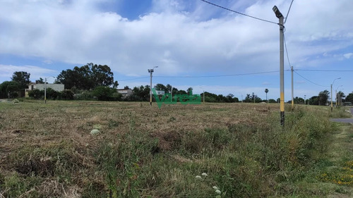 Venta Terrenos Altos Y Parejos. Lagomar . Hay Con 20 M De Frente. Suc Shangrila