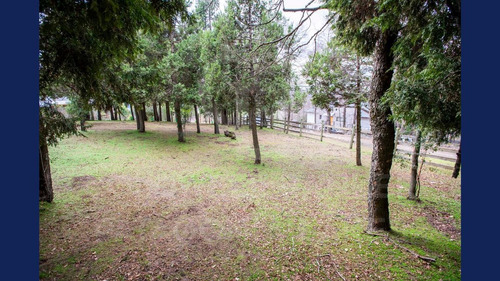 Imagen 6 de 13 de Venta Lote/terreno De 1500m2 - Lote 13 Los Riscos, San Martín De Los Andes, Totalmente Plano