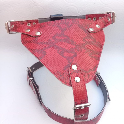 Pechera O Pretal De Cuero Para Bulldog Frances O Pug