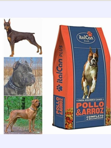 Italcan Pollo Y Arroz 25 Kg 