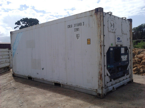 Container Congelado
