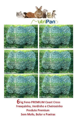 Feno Coast Cross Premium Coelhos Roedores Mini Pigs 6kg