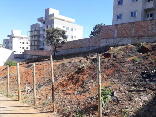 Cabral 6 Lotes De 200m² Cada Totalizando 1200m² - 3787