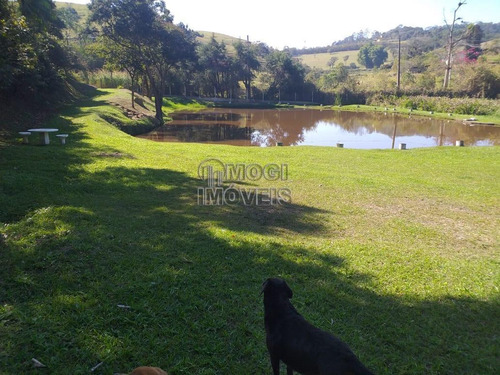 Imagem 4 de 15 de Chácara Para Venda Em Biritiba-mirim, Santa Catarina - Ch30_2-1220553