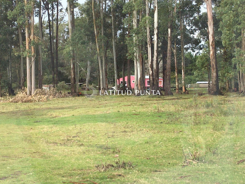 Chacra En La Pataia, Punta Ballena