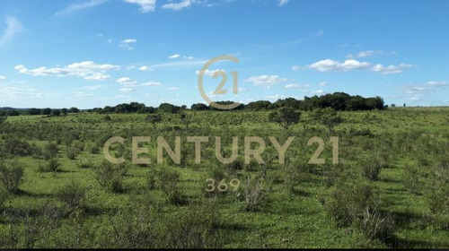 Imagen 3 de 3 de Oportunidad! Gran Campo A 3km De La Ciudad De Tala