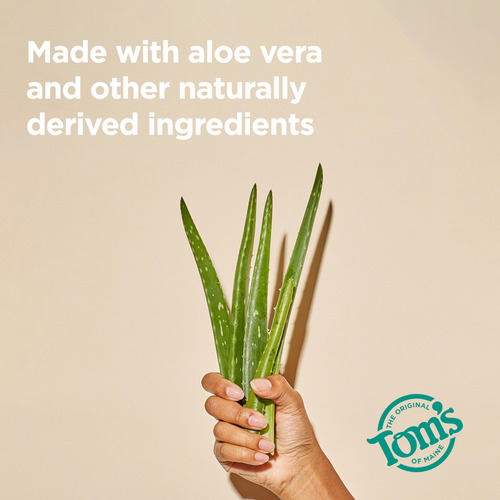 Desodorante Tom's Of Maine Lemongrass Tea Tree 95 Ml (paquet