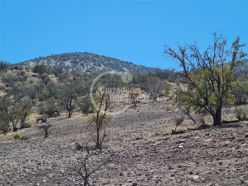 Sitio En Venta En Tiltil