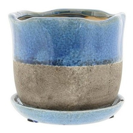 Imagen 1 de 1 de Lucky Ganador De Vieira Con Bordes Maceta De Ceramica Con P