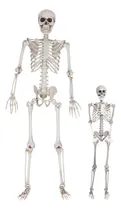 Comprar Paquete De 2 Esqueletos Humanos De Tamaño Real Para Decoraci