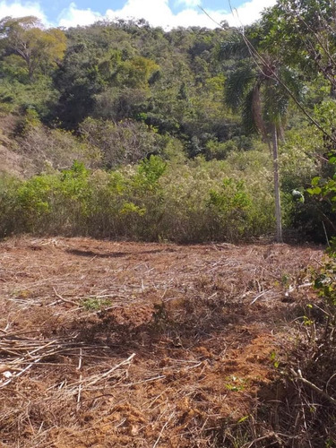 Terreno Para Venda Em Piranga, Zona Rural - T39_1-1651875