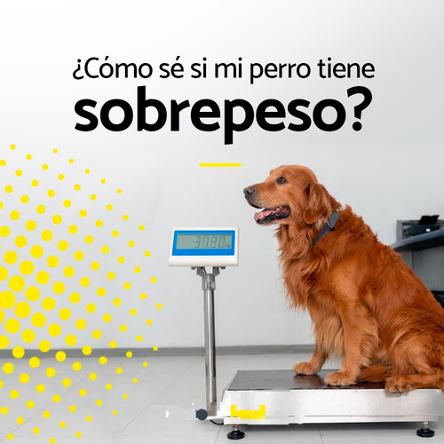 Canfeed Mature And Weight Control Razas Pequenas Y Medianas