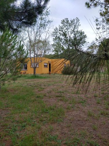 Imagen 3 de 18 de Espectacular Casa Quinta Ubicada En Virrey Del Pino, Partido De La Matanza. Superficie De 5.013m2