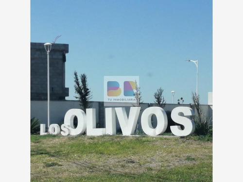 Imagen 2 de 12 de Casa Sola En Venta Los Olivos