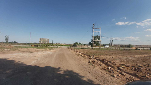 Imagen 7 de 27 de Galpón · Alquiler · 7.000 M2 · Dos Galpones · Oficina · Heras