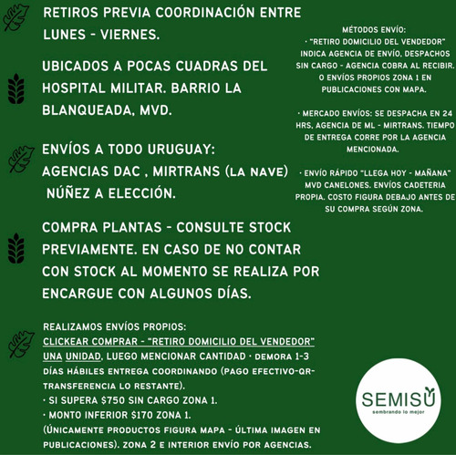 Imagen 2 de 8 de Urea Verde Liberación Lenta- Ideal Césped Planta Verdes 10kg