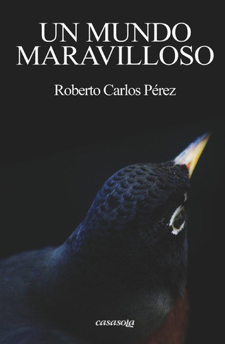 Libro:  Un Mundo Maravilloso (spanish Edition)