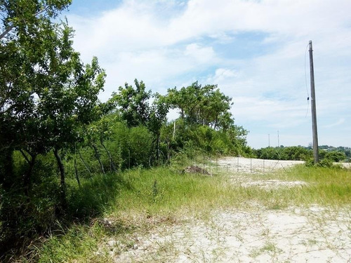 Imagen 3 de 8 de Terreno En Venta Revolucionaria