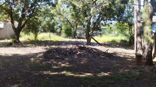 Imagem 7 de 14 de Terreno À Venda Em Chácaras De Recreio - 2000 - Te276811