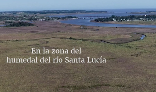 Venta Chacra En Melilla Con Olivos