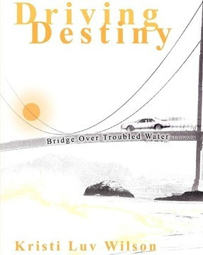 Driving Destiny - Kristi Luv Wilson (paperback)