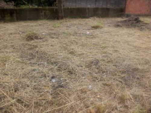 Terreno De Frente Para A Rodovia Em Itanhaém-sp (mx)