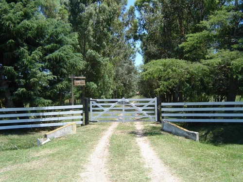 Imagen 1 de 14 de Campo En Venta - Loma Verde