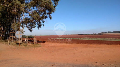 Imagem 6 de 12 de Áreaa Rural- Narandiba - 3840951v