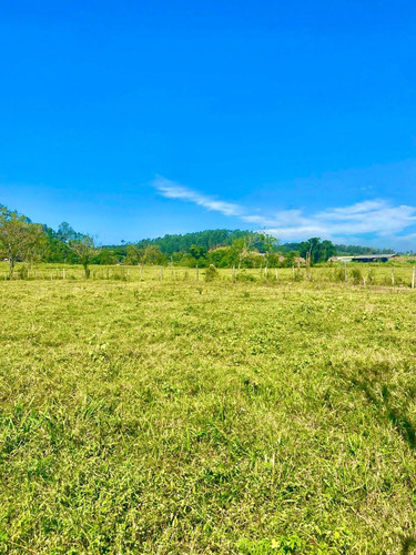 Imagem 11 de 14 de W35 Lote 1000m Na Planta No Interior Leia A Descrição !