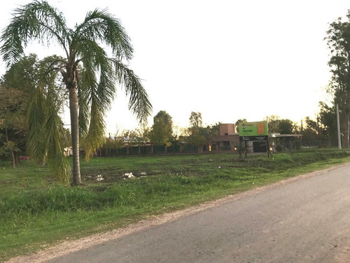 Imagen 15 de 30 de Terreno - Ibarlucea