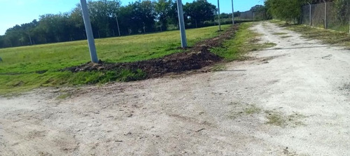 Lote Los Hornos A Estrenar