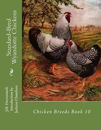 Standard-bred Wyandotte Chickens: Chicken Breeds Book 10, De Drevenstedt, J. H.. Editorial Createspace Independent Publishing Platform, Tapa Blanda En Inglés