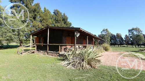 Venta Cabaña Sobre Gran Fracción De 4 Lotes Presidente Perón