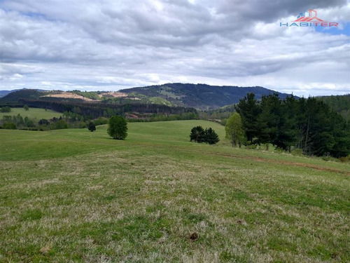 Agrícola Campo O Inmobiliario Loteo En Venta En Panguipulli
