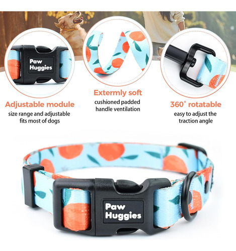 Juego De Collar Y Correa Para Perro Con Patrón Naranja, Coll