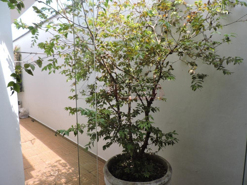 Casas - Ref: V73091