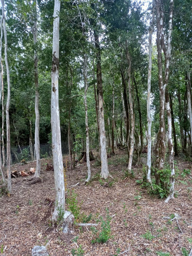 Parcela En Venta En Las Chilcas, Maullín