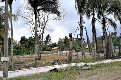 Terreno - Residencial - 929468