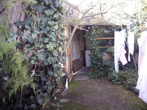 Imagen 6 de 12 de Casa En Venta En Shangrila Sur