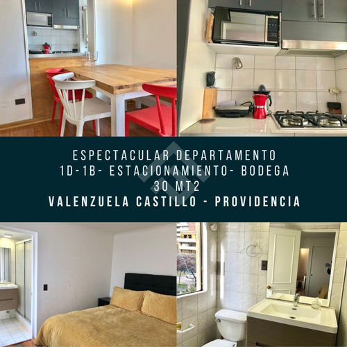 Arriendo Depto Gran Ubicación 1d-1b-e-b Providencia