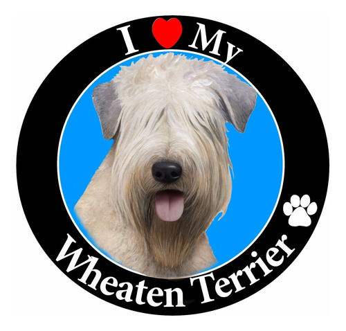 S Mascota Coche Iman Soft Coated Wheaten Terrier