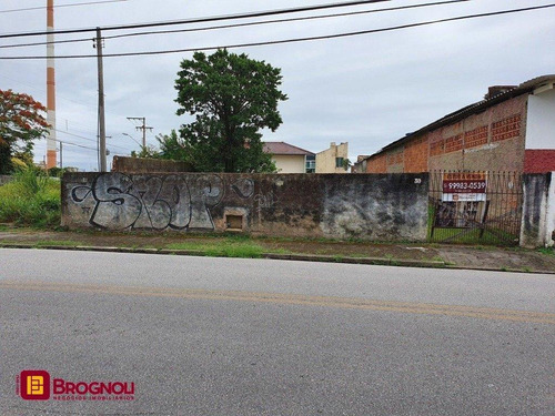 Imagem 5 de 6 de Terreno Comercial/residencial - Coloninha - Ref: 38584 - V-t6-38584