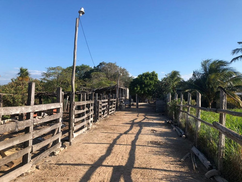 Imagen 11 de 16 de Terreno En Venta En Puerto Progreso, Yucatán