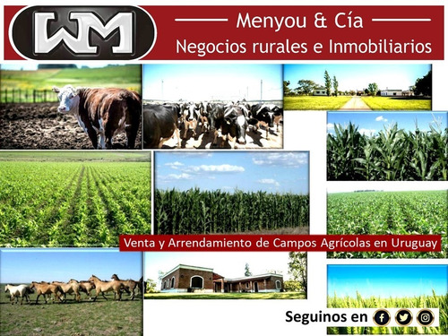 Venta Campo Chacra En Flores 5 Has 8km De Trinidad Flores