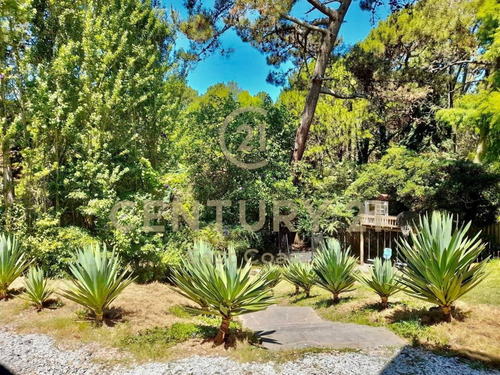 Imagen 3 de 21 de Casa Con Piscina En San Rafael Punta Del Este