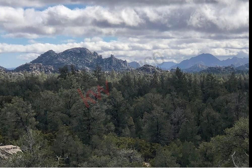 Valle Del Pinal En La Sierra Juarez A 7 Min. De La Laguna Hanson!! ¿buscas Un Espacio Ideal Par...