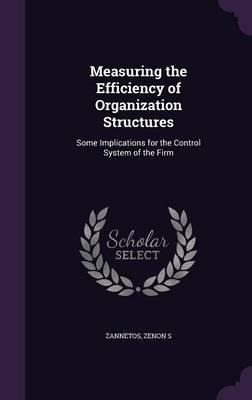 Libro Measuring The Efficiency Of Organization Structures...