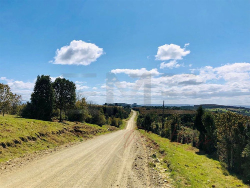 Parcela En Venta En Fresia